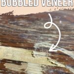 Close-up of damaged wood veneer with bubbles
