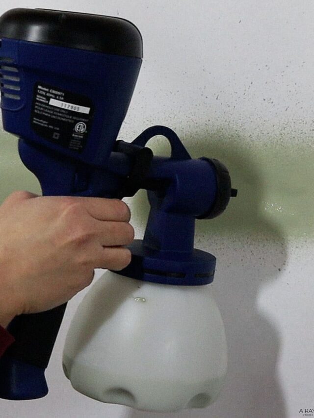 HomeRight Super Finish Max Paint Sprayer | Review  Story