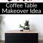 Stylish black coffee table with plant decorations, perfect for modern home decor.