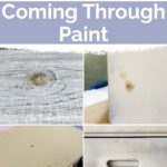 preventing stains from bleeding through paint