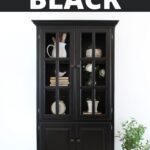 Black-painted oak cabinet with glass doors, styled with decor items and a leafy plant beside it.