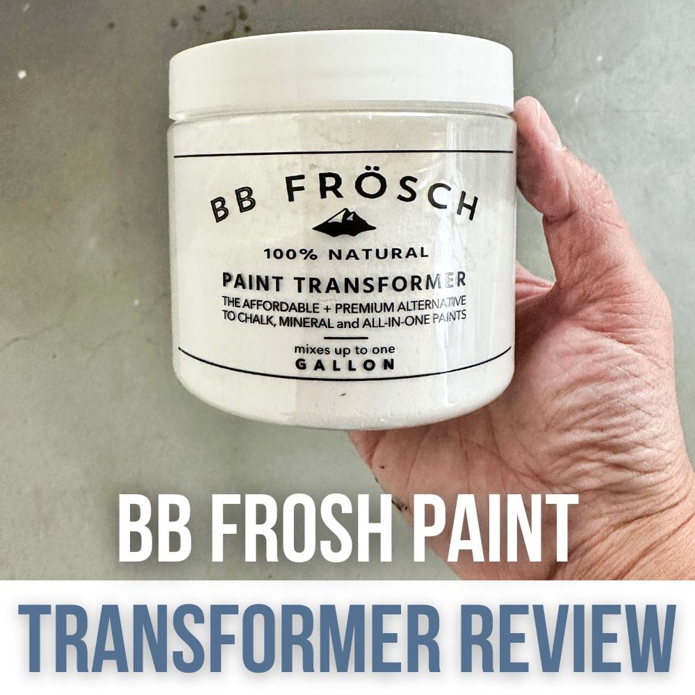 BB Frosch Paint Transformer Review