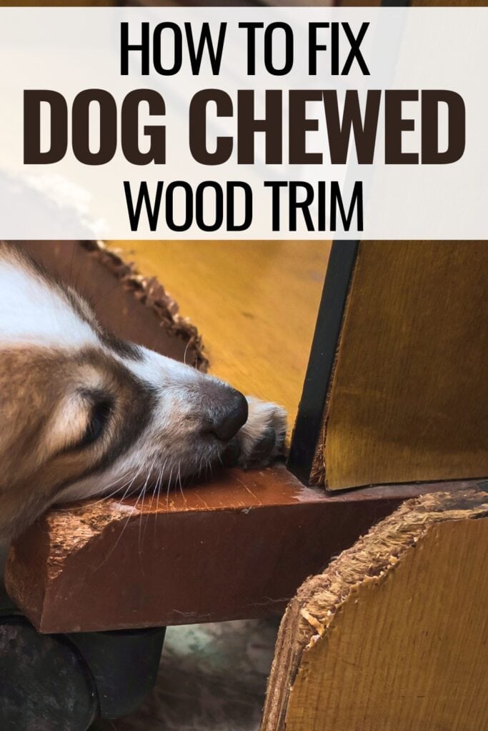 dog chewing furniture with text overlay