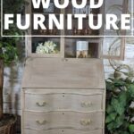 A refinished wooden dresser with plants, text overlay reads: How to Refinish Wood Furniture.