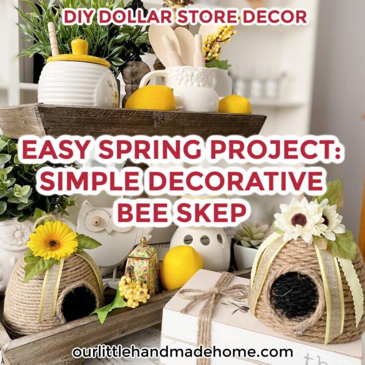Image for Easy Spring Project: Simple Decorative Bee Skep