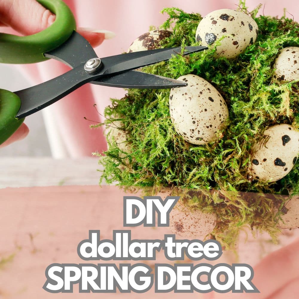 DIY Dollar Tree Spring Decor